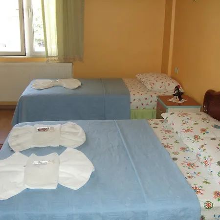 Otel Efes Antik 2*