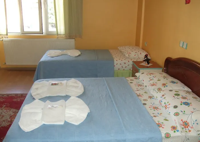 מלון Efes Antik 2*